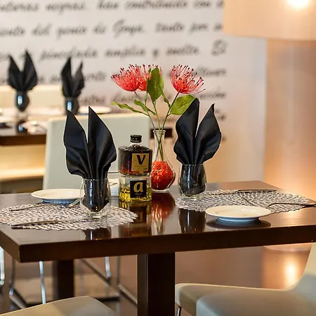 Diagonal Plaza فندق سرقسطة