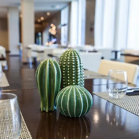 Diagonal Plaza Hotel 4*